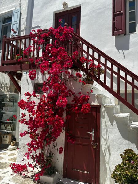 5535-2 for 1 Virgin Voyages Greece & Croatia