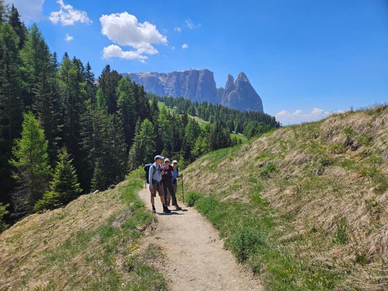The Chestnut Route