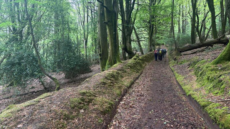 Your holiday: Exmoor  - Gentle Guided Walking