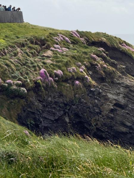 Best of Ireland and Scotland