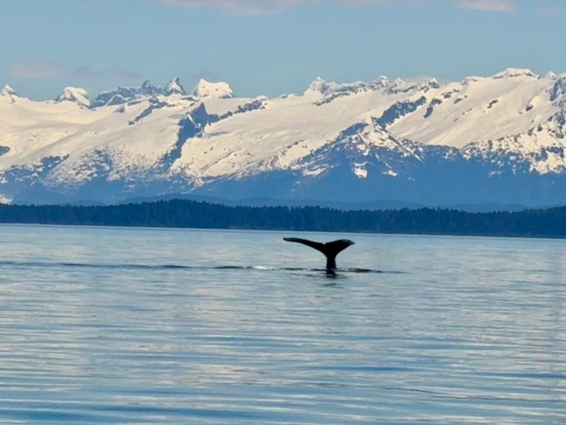 5648-Amazing Azamara Alaska