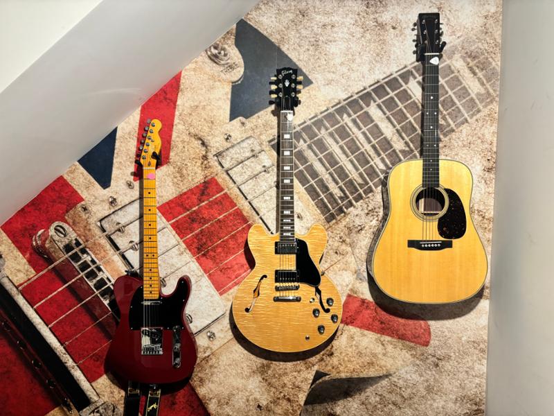 Andertons Music, guitar heaven and budget friendly!