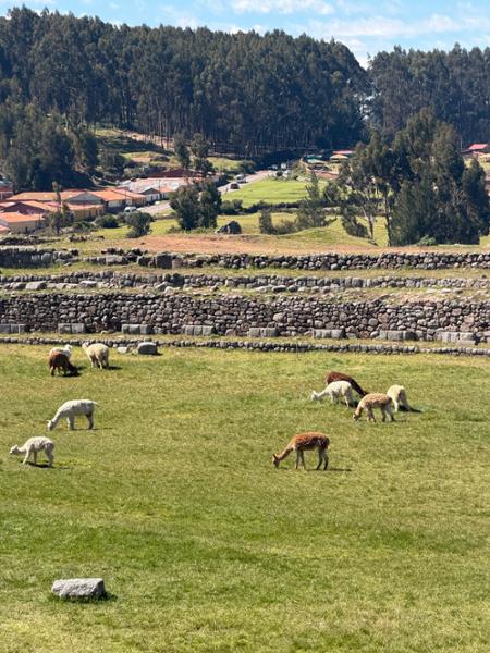 Highlights of Peru