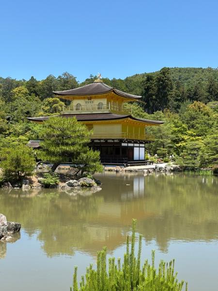 5546-Grand Japan