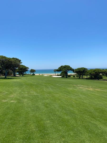 Golf Escape - June 2026