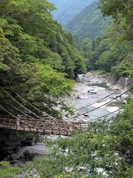 5626-Southern Japan Discovery
