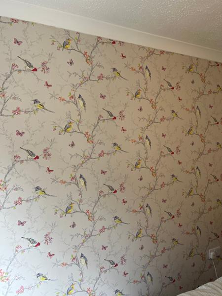 Phoebe Birds Wallpaper Cream Holden 98082
