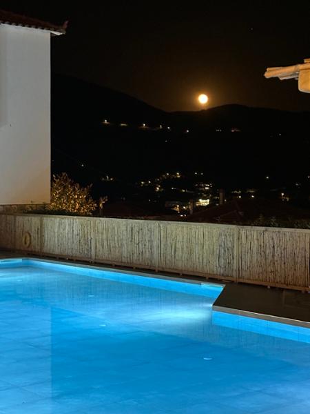 Sunvil know their business and gave us a great holiday