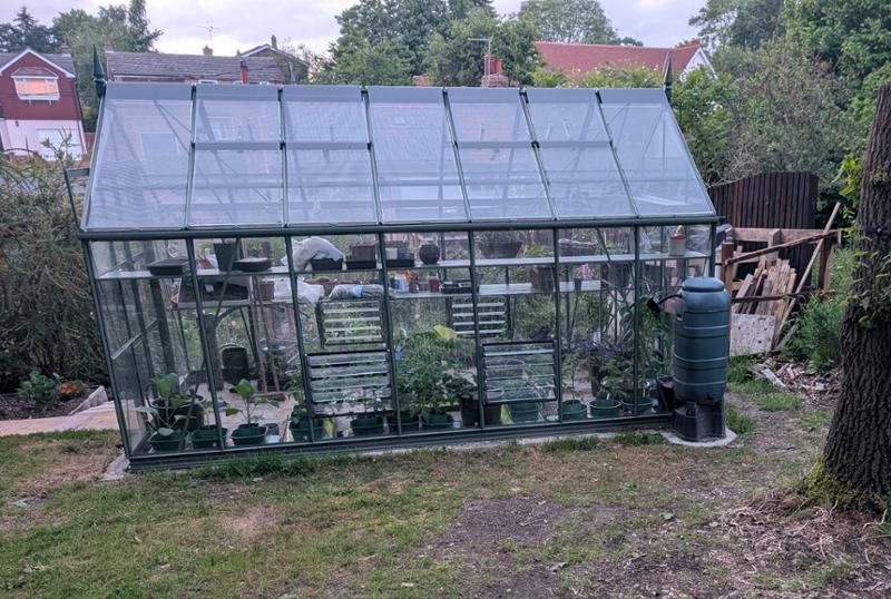 Great greenhouse