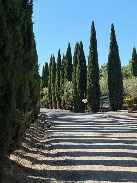 Via Francigena Total: Great St. Bernard to Rome