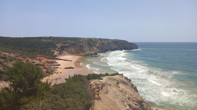 En los Acantilados del Viento, entre Cigüeñas, Flores y el Canto del Océano