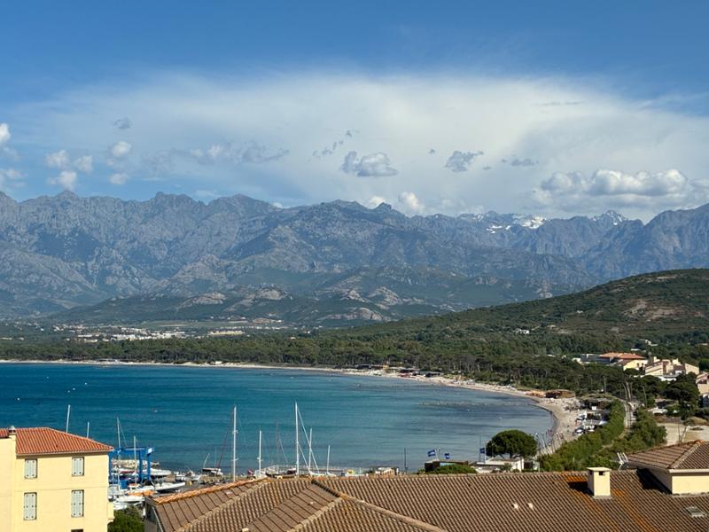 Calvi , perfect Corsican town .