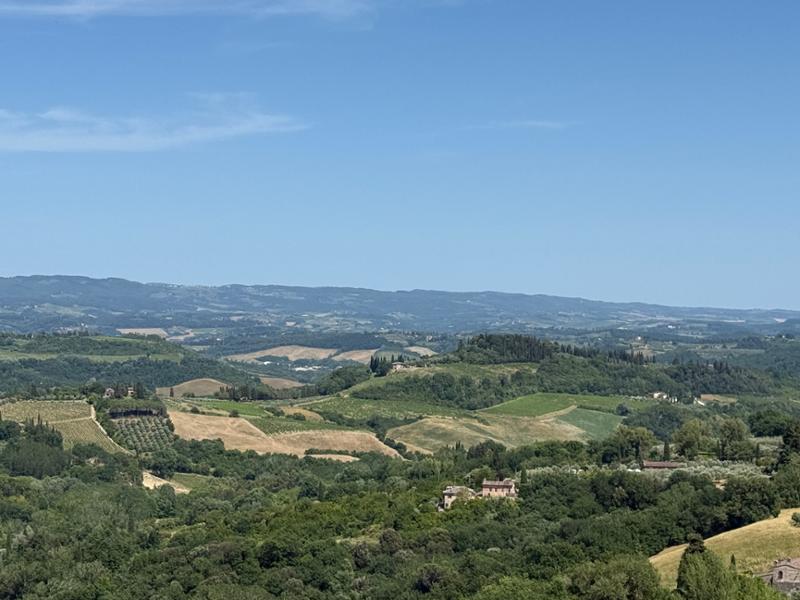 Private San Gimignano & Siena Excursion