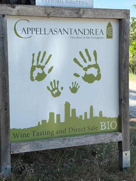 Private San Gimignano & Siena Excursion
