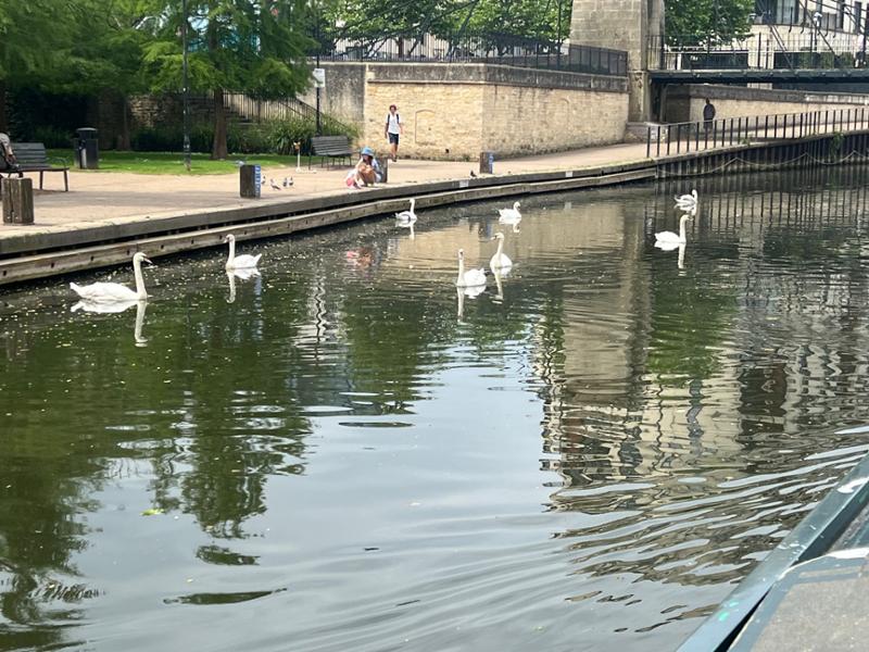 Your recent holiday on Citrine - Gem Class from Sally Narrowboats
