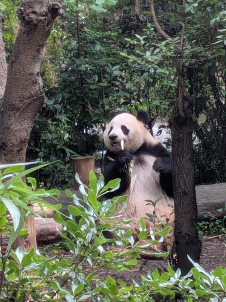 Magnificent China