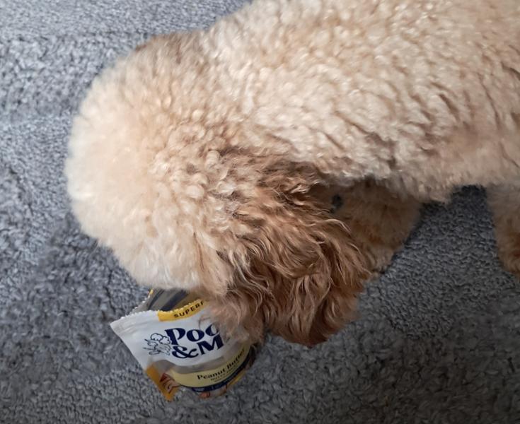 Peanut Butter Dog Treats | 120g | Vegan Dog Treats | Low Fat Training Treats For Dogs | Pooch & Mutt | Grain-Free & Meat-Free