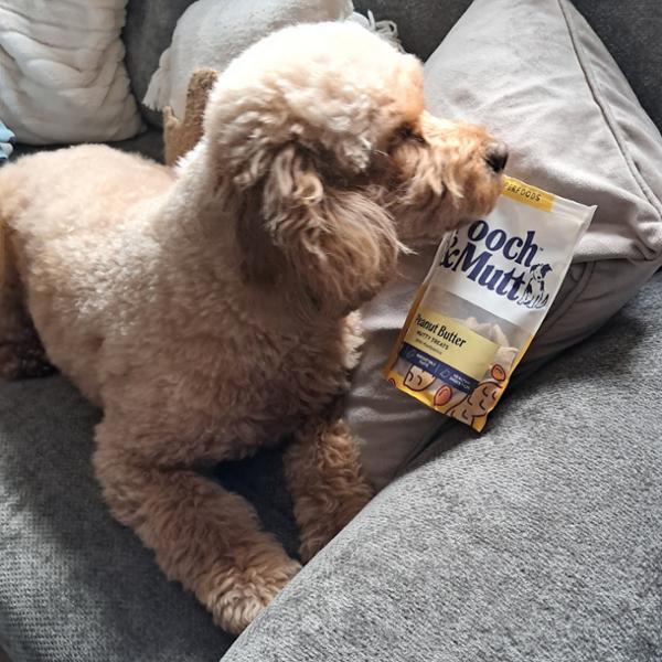 Peanut Butter Dog Treats | 120g | Vegan Dog Treats | Low Fat Training Treats For Dogs | Pooch & Mutt | Grain-Free & Meat-Free
