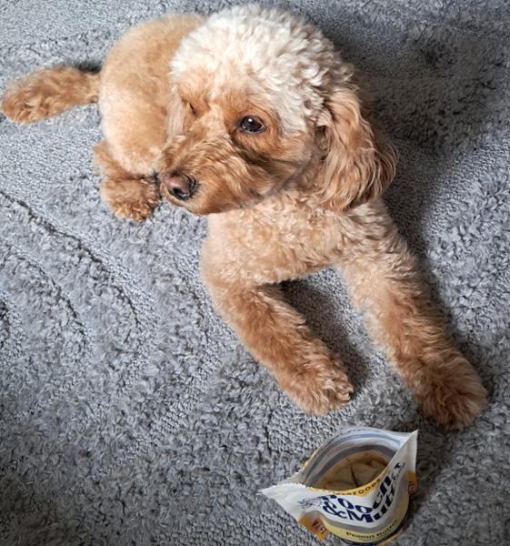 Peanut Butter Dog Treats | 120g | Vegan Dog Treats | Low Fat Training Treats For Dogs | Pooch & Mutt | Grain-Free & Meat-Free