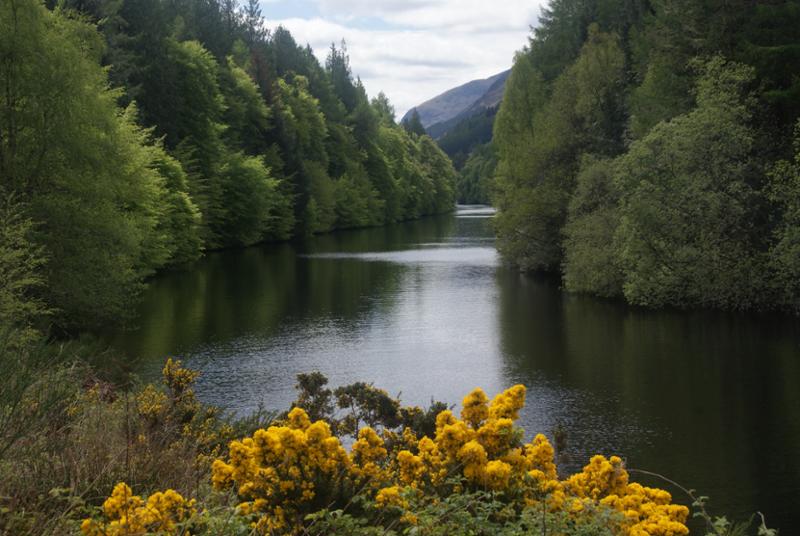 Fantastic cruise on the Caledonian Canal