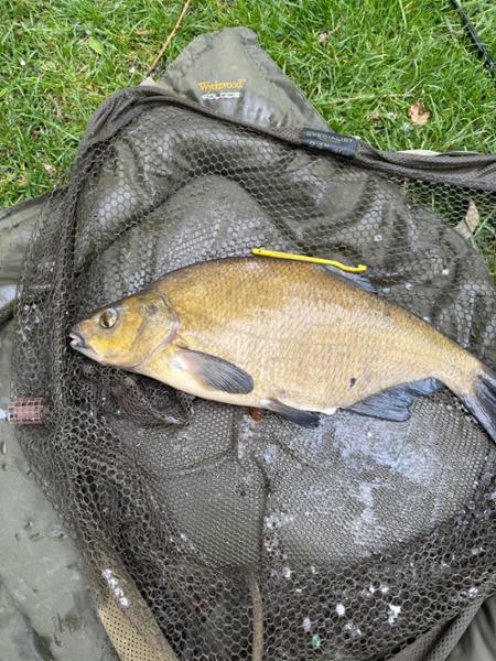 My favourite bait.