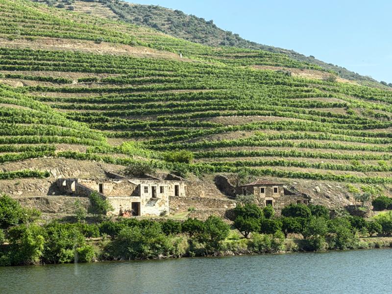 The Douro
