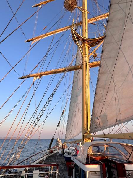 Fabulous holiday in the Aegean onboard Star Flyer