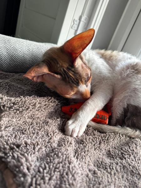 Purrrrrrrfect!