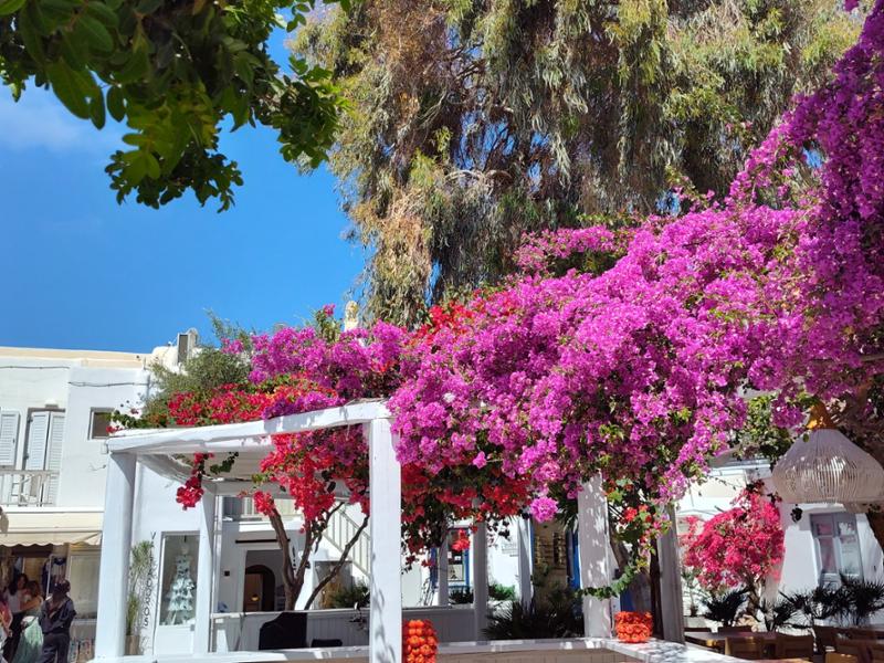 Iconic Greece & the Cyclades