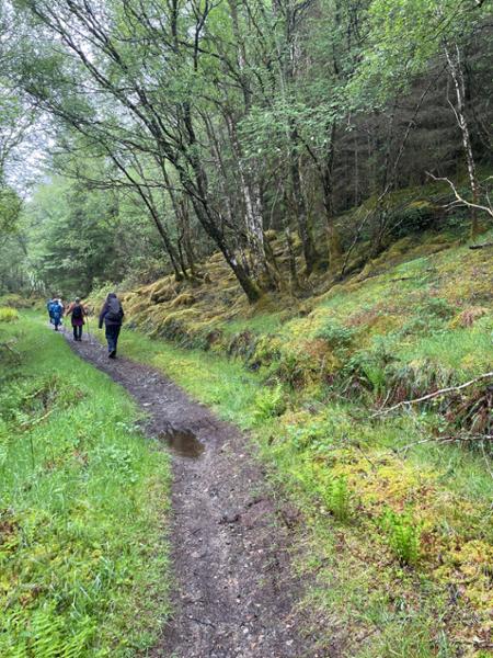 Your holiday: Scottish Highlands  - Gentle Guided Walking