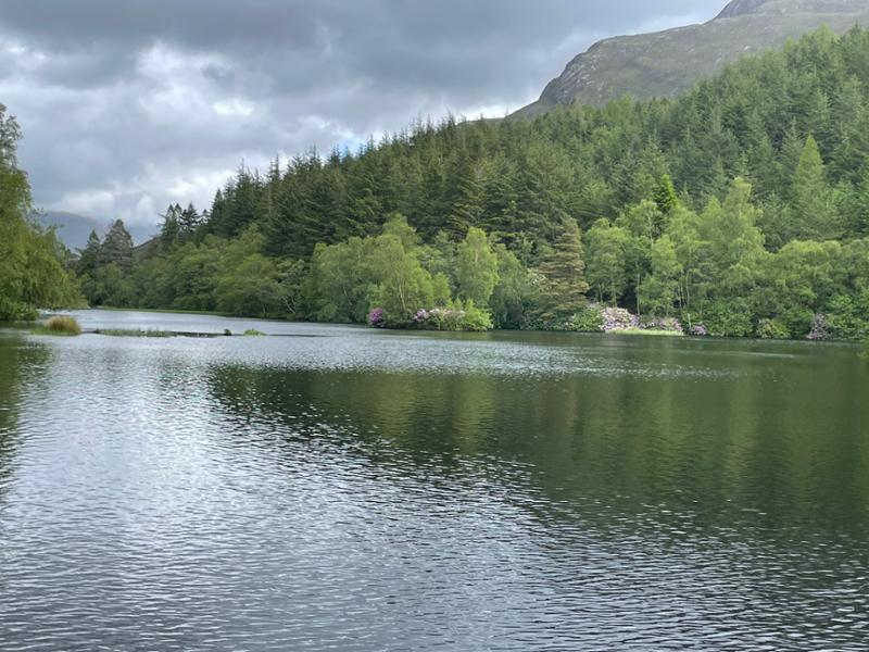 Your holiday: Scottish Highlands  - Gentle Guided Walking