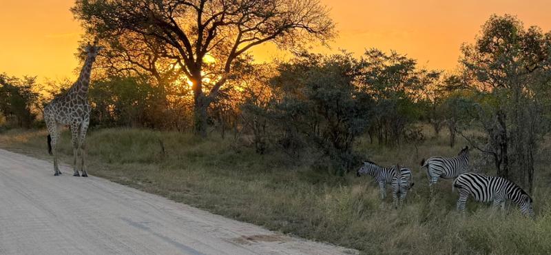 5868-South Africa & Victoria Falls 2026 for 2