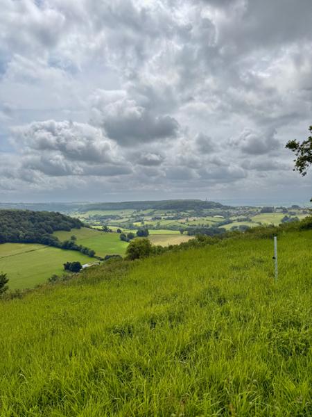 Yes to the Cotswold Way