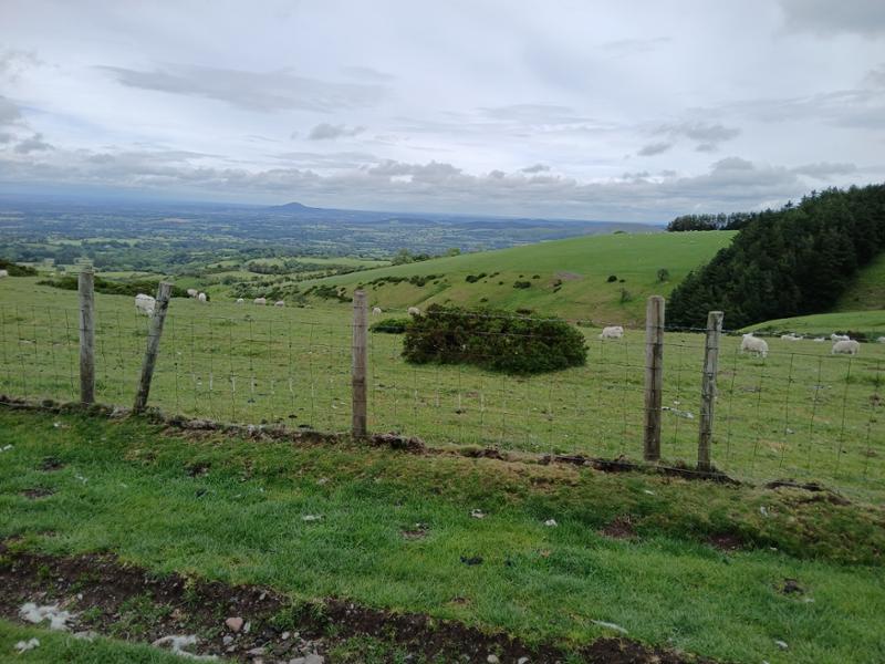 Your holiday: Shropshire Hills  - Guided Walking