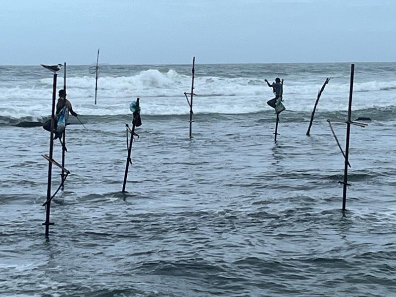 5738-Sri Lanka & All-Inclusive Maldives 2026