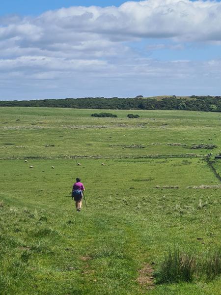 Northumberland Coast Highlights