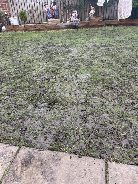 IMPRESS: Clay Master Lawn Seed-20kg
