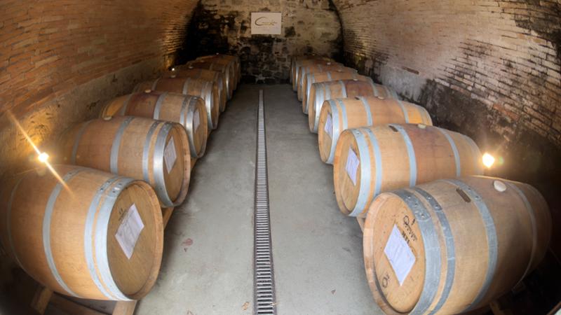 Discover Tuscany and the Italian Riviera on 05/23/2026