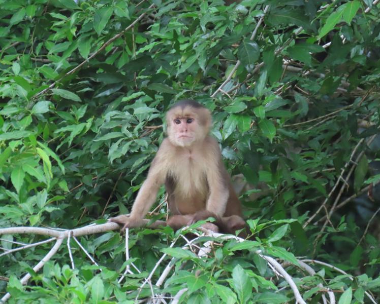 Ecuador & The Galapagos - An adventure of a lifetime