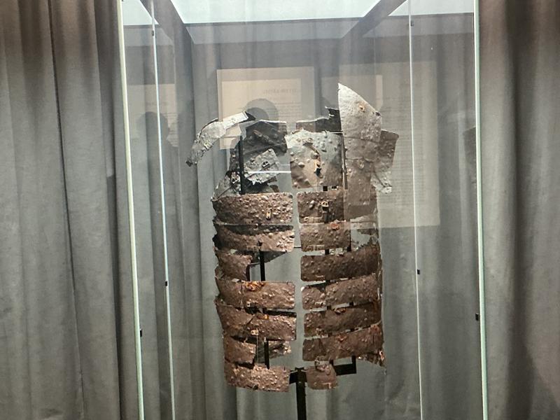 A Roman Disaster brought back to Life!