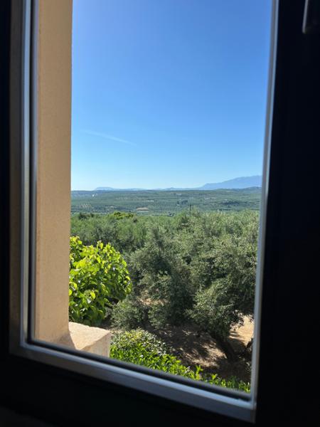 Villa Iris