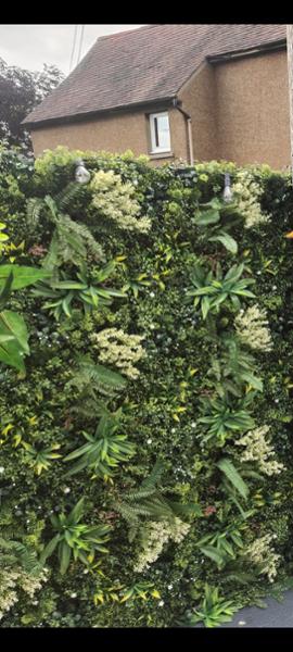 Artificial Green Wall Panel Aurora C - 50cm | For Sale on Evergreenery
