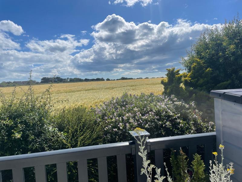 Property Ref: 10813