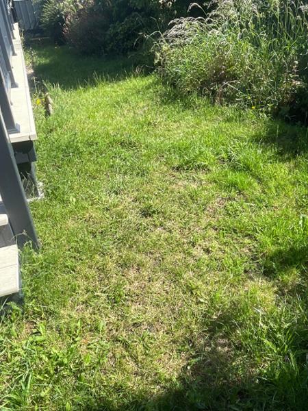 Property Ref: 10813