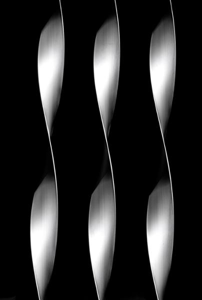 Black and White Workshop