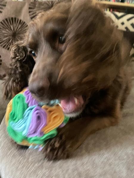 Dog Snuffle Ball | Fun Puzzle Toy For Dogs | Machine Washable | Pooch & Mutt | Made From 75% Recycled Materials