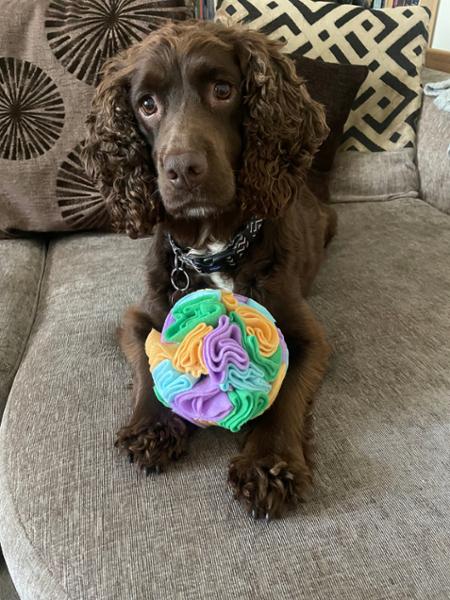 Dog Snuffle Ball | Fun Puzzle Toy For Dogs | Machine Washable | Pooch & Mutt | Made From 75% Recycled Materials