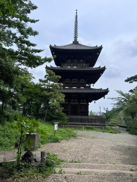 5546-Grand Japan