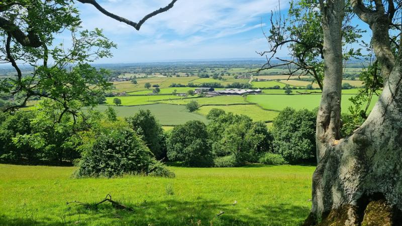 Cotswold Way - South Section - South to North
