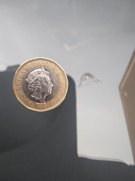 Windscreen Chip Repair